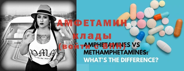 ПСИЛОЦИБИНОВЫЕ ГРИБЫ Баксан