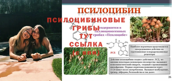 кокс Богданович