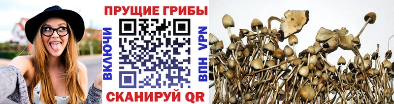Псилоцибиновые грибы Cubensis  даркнет сайт  mega онион  Воркута 